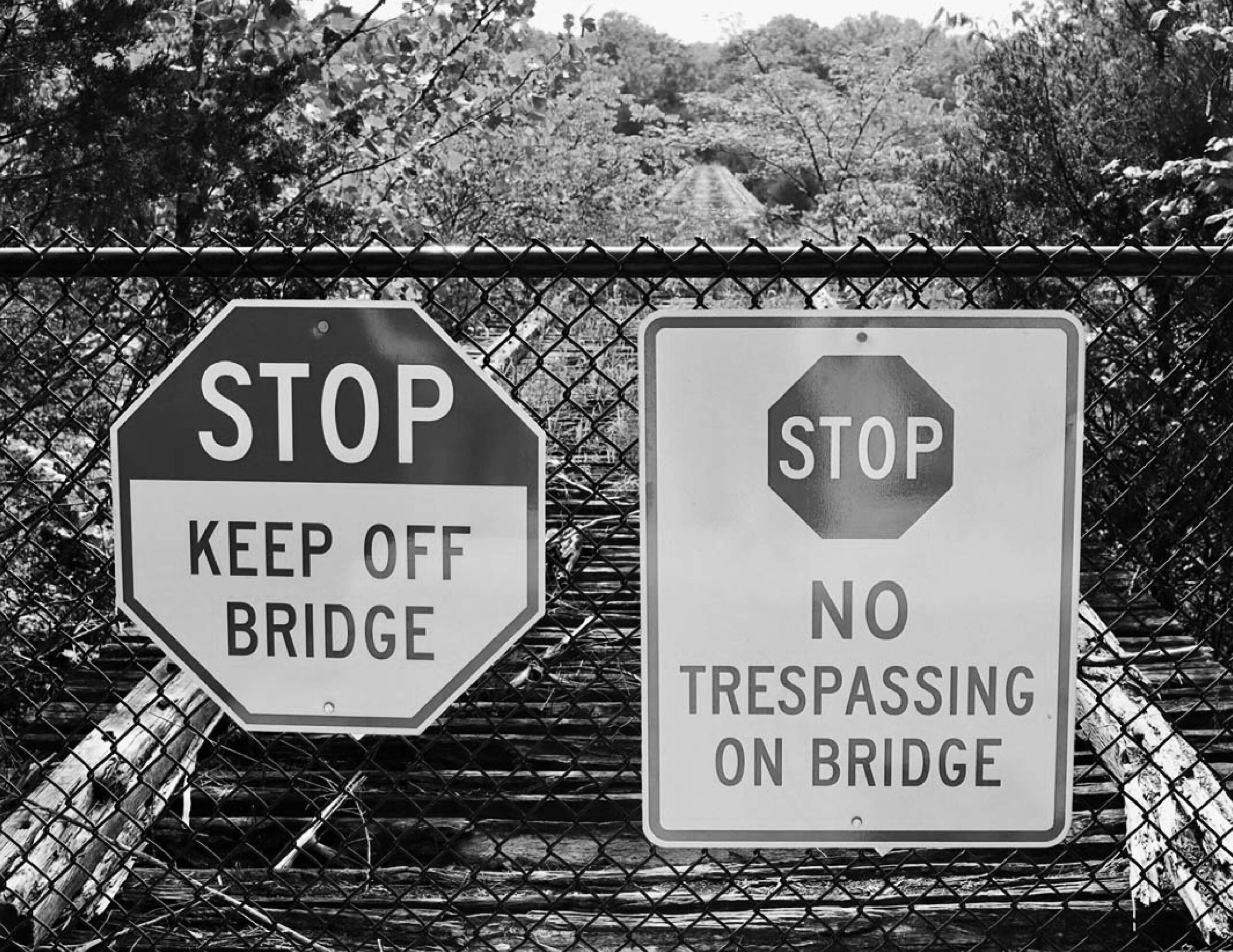 End of Phase 1 at the Cedar Brook Bridge