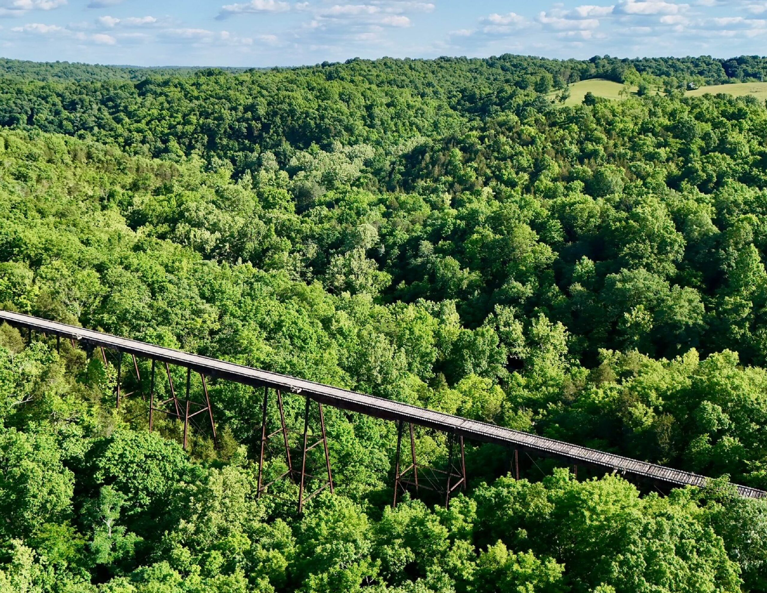 Aerial view of Cedar Brook Bridge