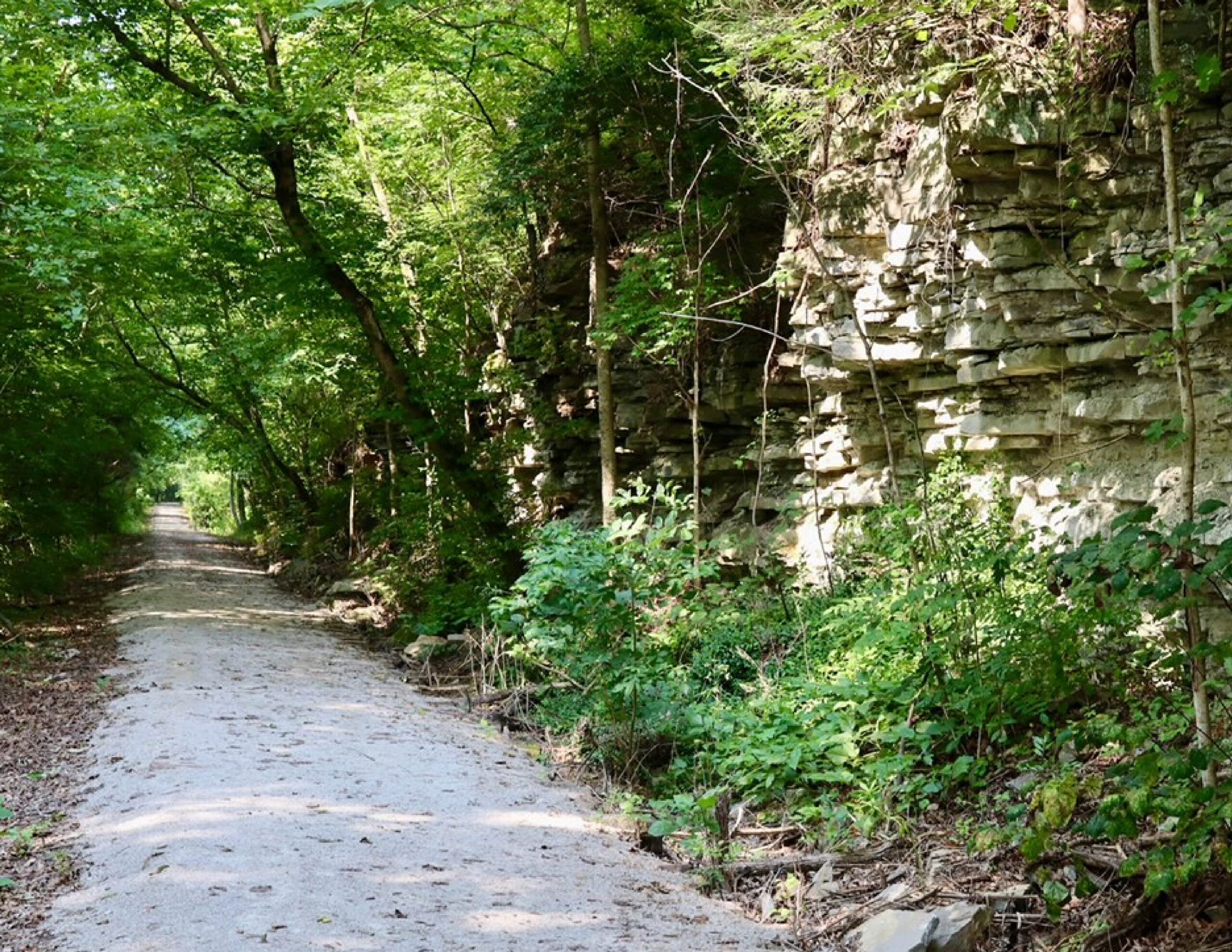 Cedar Brook Trail