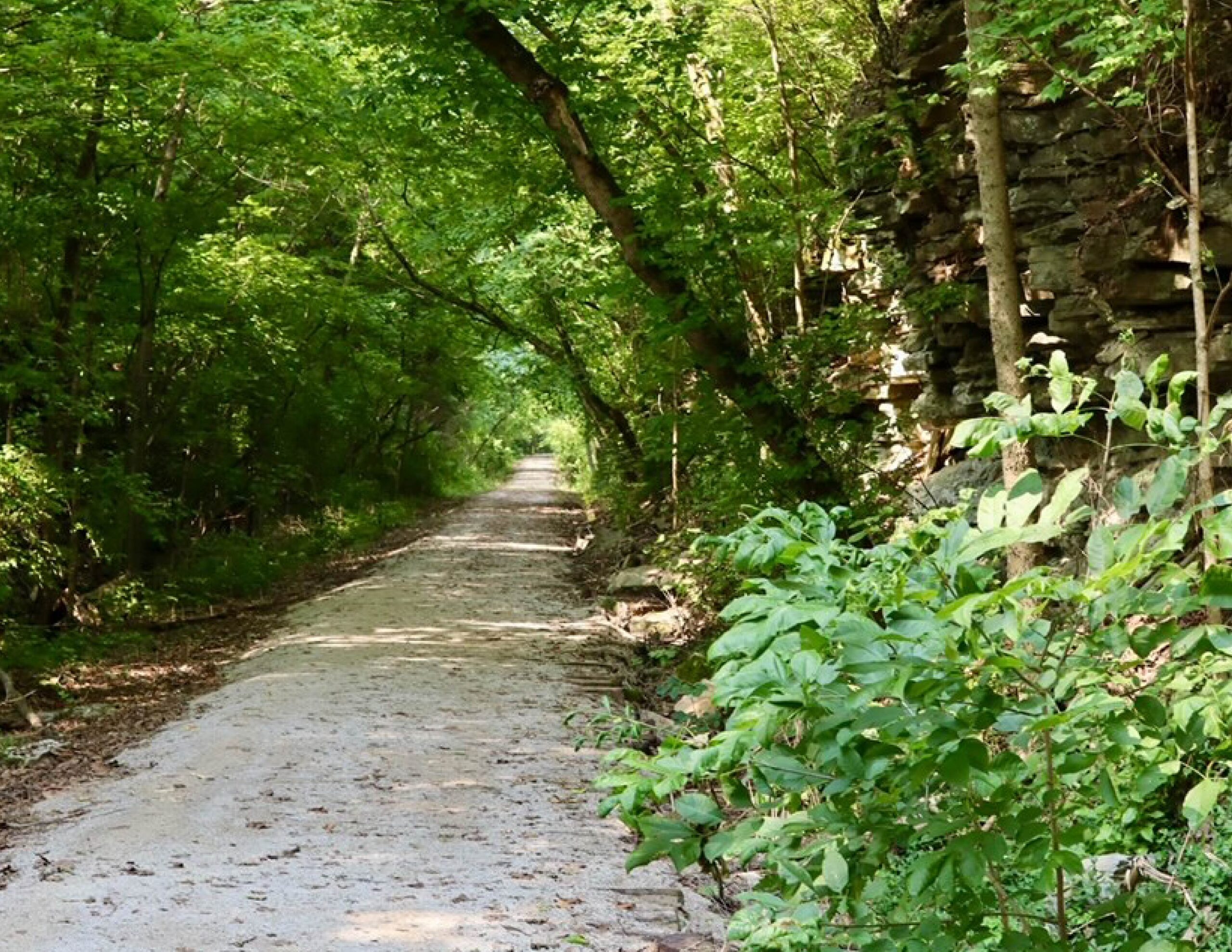 Cedar Brook Trail